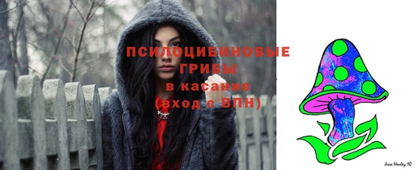 бутират Ессентукская