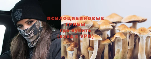 молекула духа Новокубанск