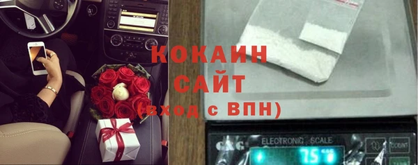 винт Новозыбков