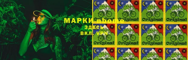 молекула духа Новокубанск