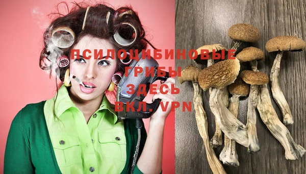 PSILOCYBIN Нефтекумск
