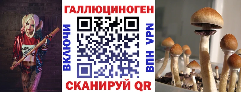 Псилоцибиновые грибы мицелий  даркнет сайт  Карталы 