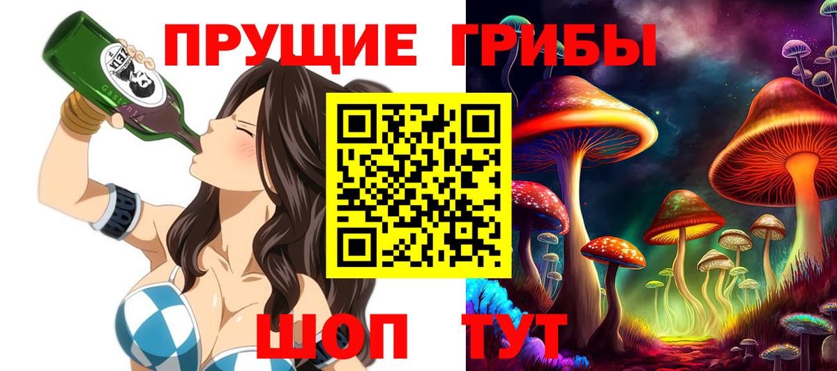 Галлюциногенные грибы мицелий  Галлюциногенные грибы прущие грибы  Вход с VPN  Карталы 