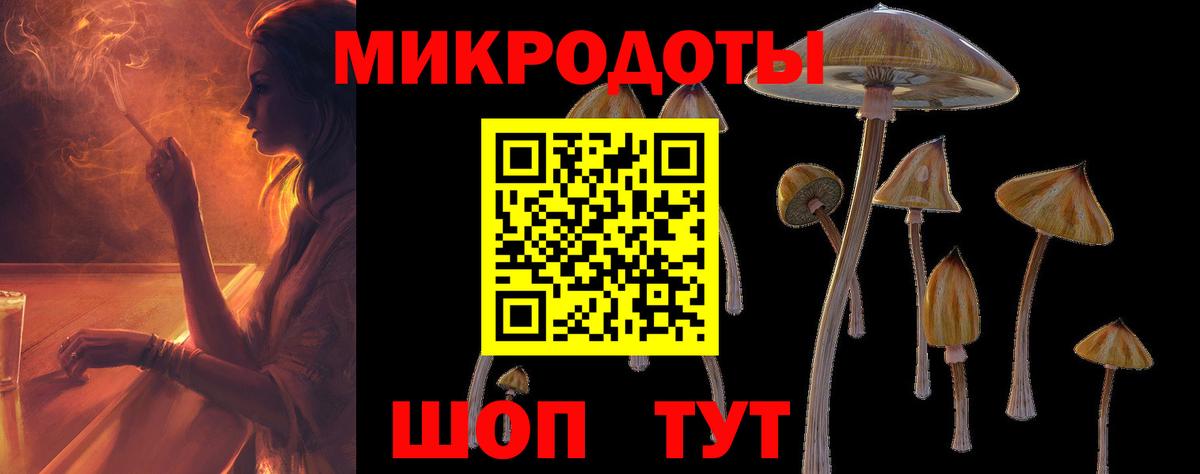 Псилоцибиновые грибы прущие грибы Карталы